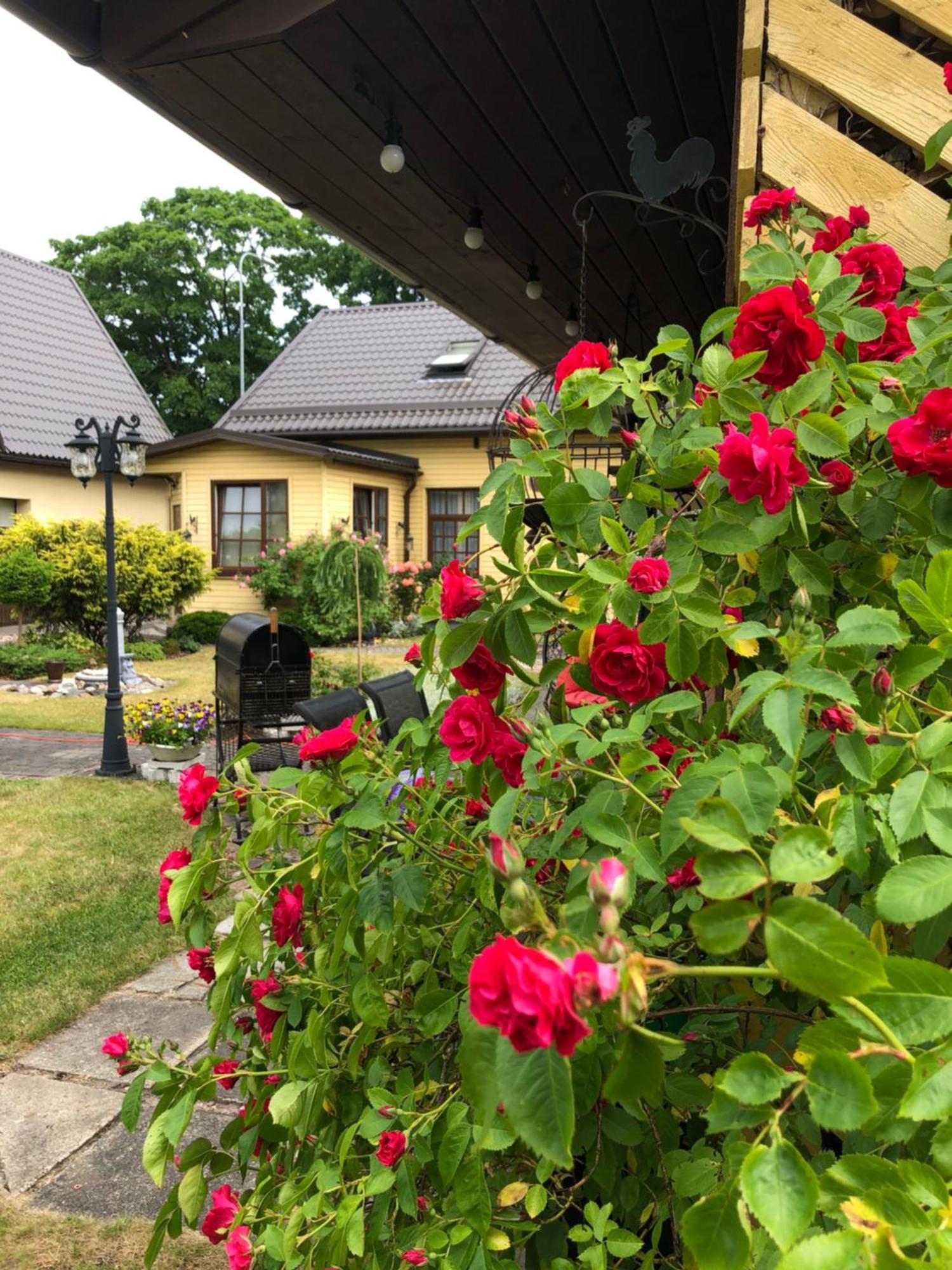 Apartament Anni Windawa Zewnętrze zdjęcie